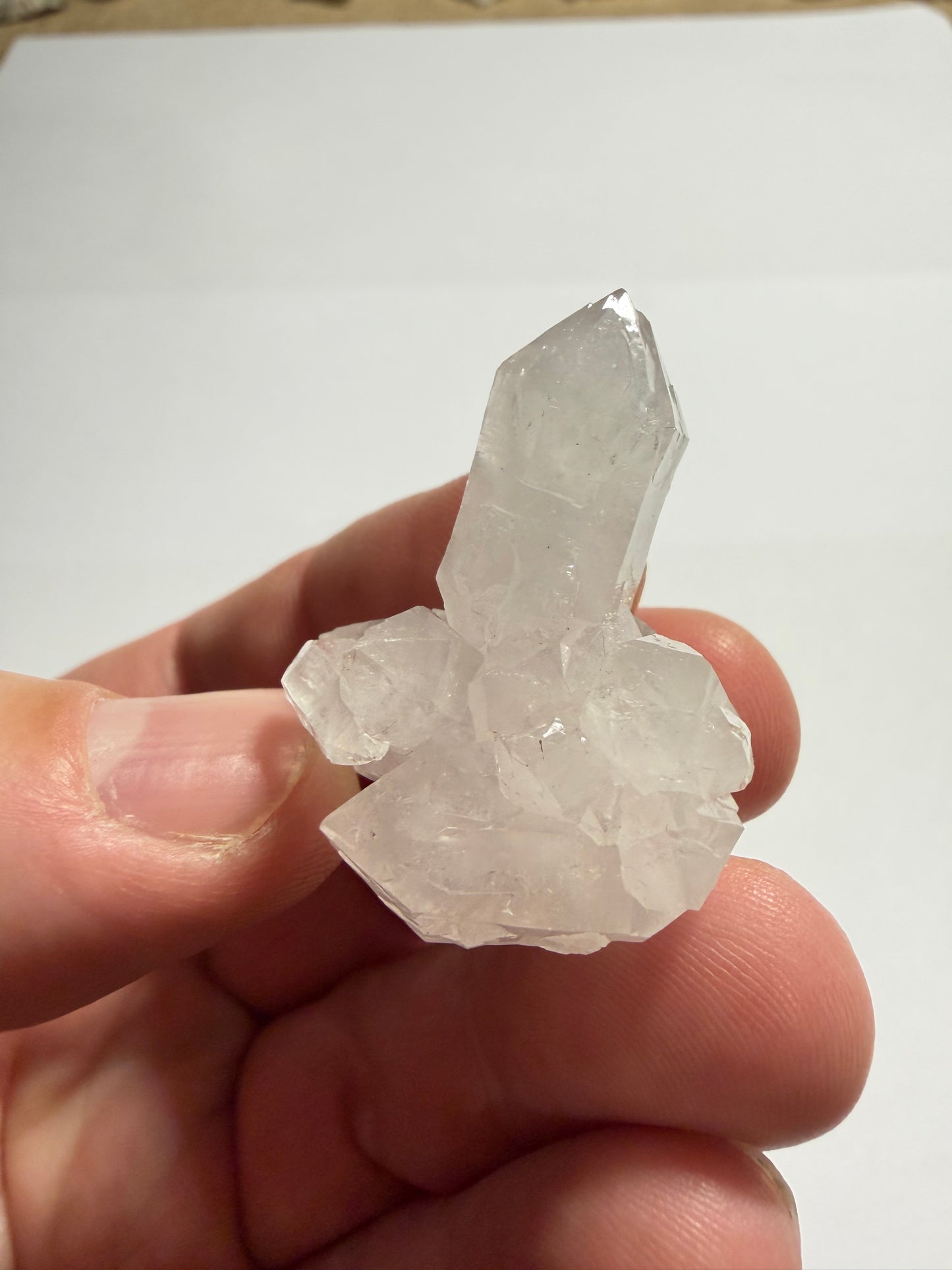 Quartz de Bou Craà, Maroc