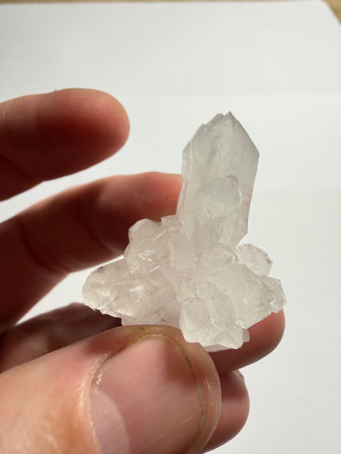 Quartz de Bou Craà, Maroc