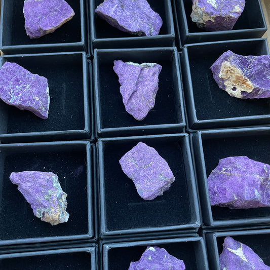 Purpurite du Brésil