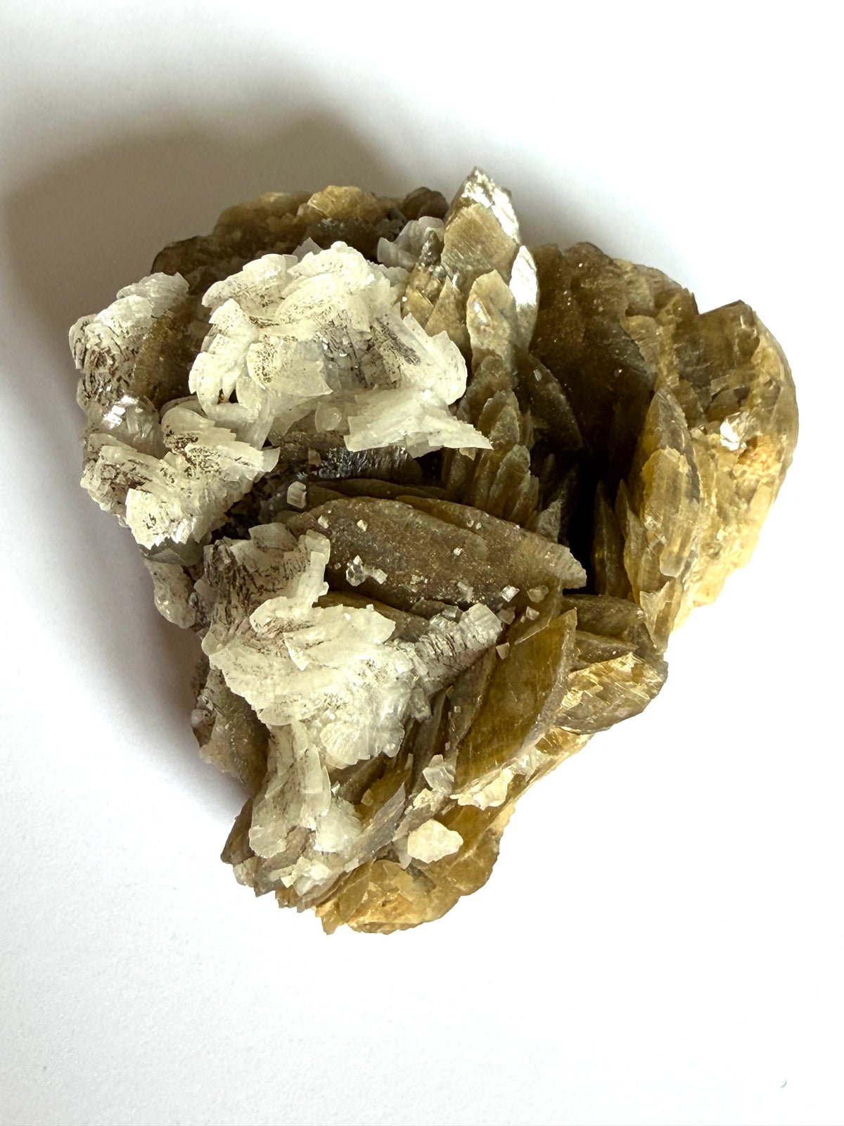Sidérite avec Dolomie, ,Mine Kaiwu, Hezhang, Guizhou, Chine