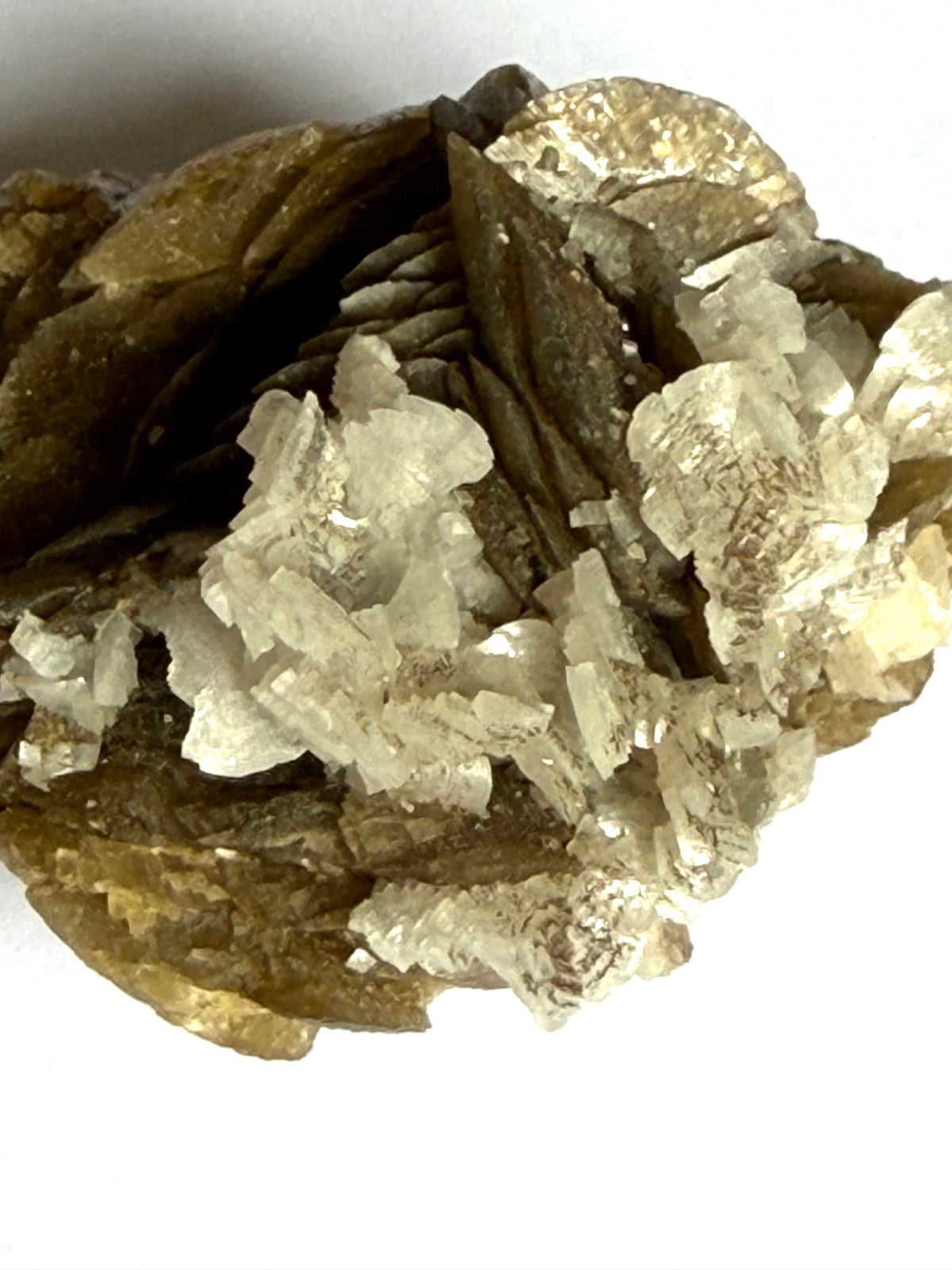 Sidérite avec Dolomie, ,Mine Kaiwu, Hezhang, Guizhou, Chine