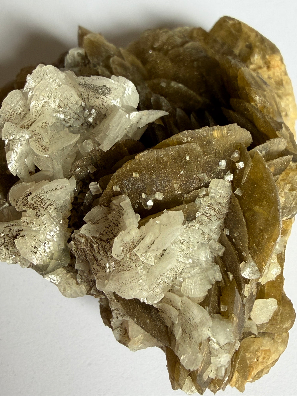 Sidérite avec Dolomie, ,Mine Kaiwu, Hezhang, Guizhou, Chine