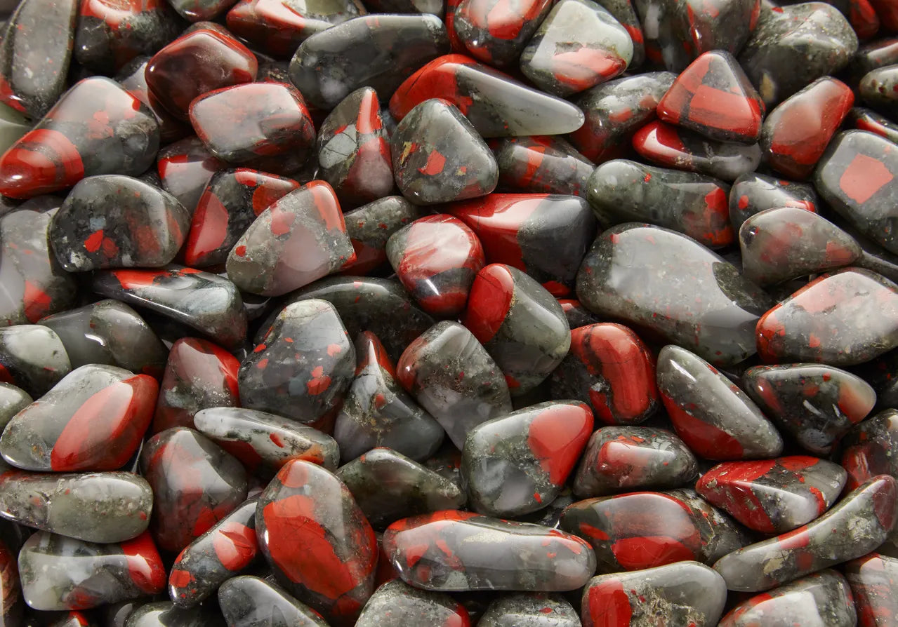 Héliotrope d’Afrique du Sud