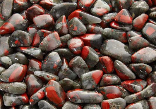 Héliotrope d’Afrique du Sud