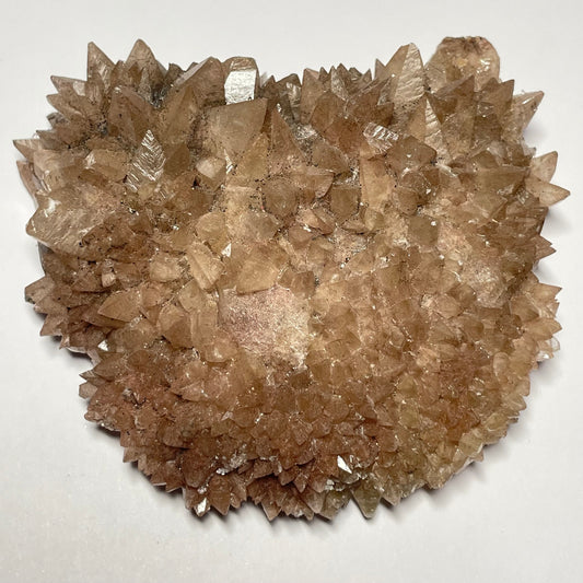 Calcite « dent de chien », Santa Eulalia, Chihuahua, Mexique