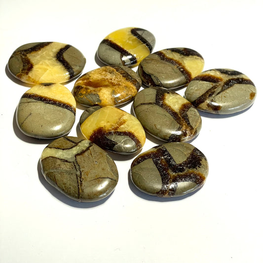 Septaria de Madagascar, galet plat